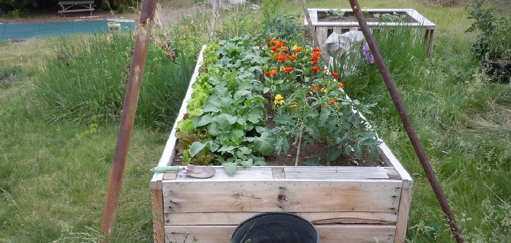 How to Build a Cedar Garden Bed