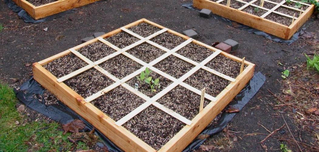 How to Build a Self Watering Raised Garden Bed