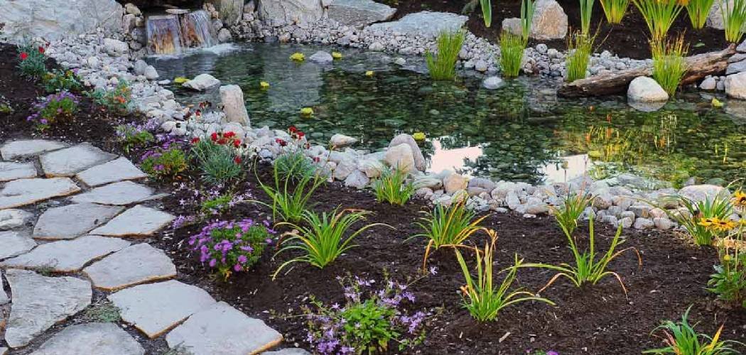 How to Convert a Pond into a Garden