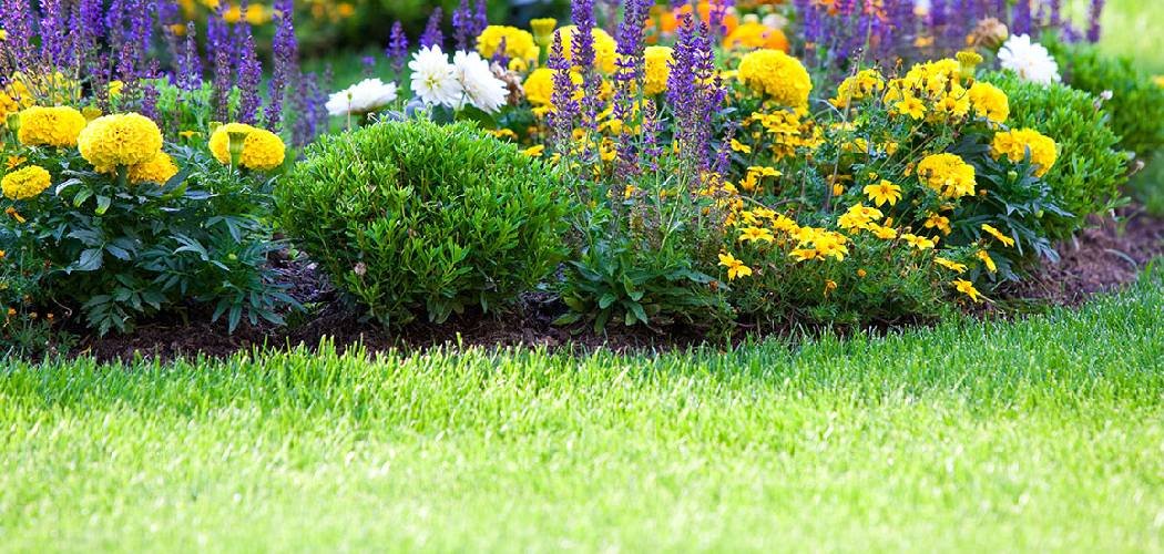 How to Create Mulch Bed