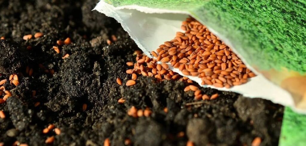 How to Dormant Seed a Lawn
