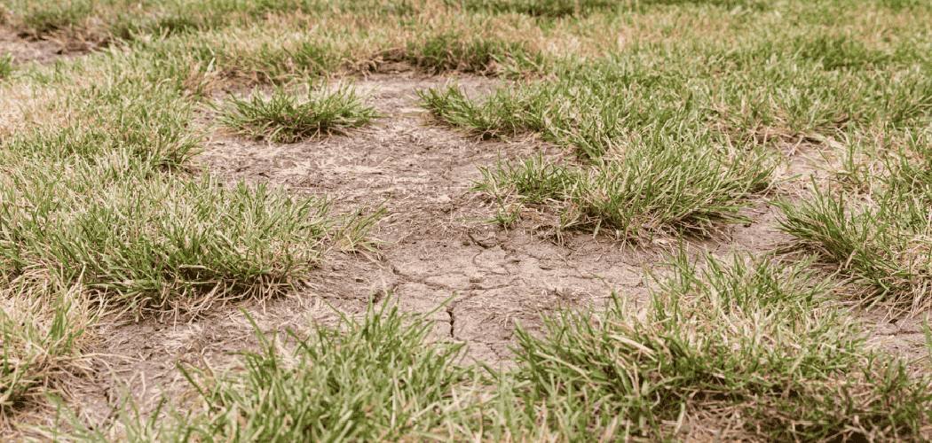 How to Fix Bad Soil for Grass