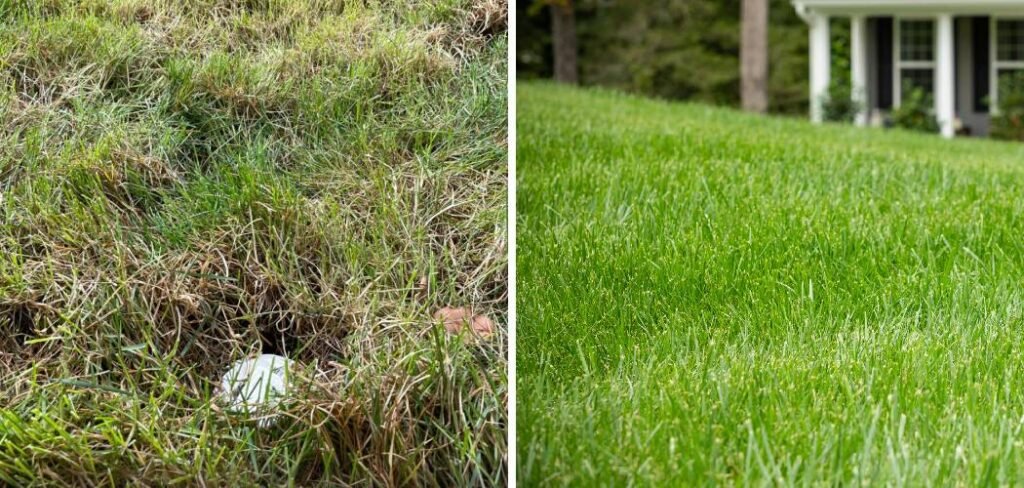 How to Fix a Dip in Your Lawn