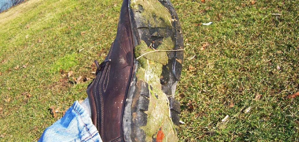 How to Get Rid of Lawn Rust on Shoes