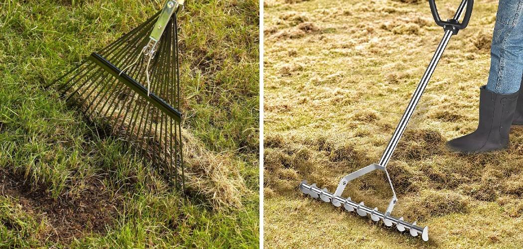 How to Get Rid of Thatch in Your Lawn
