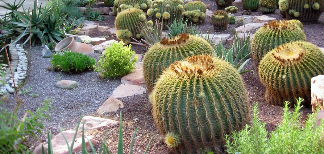 How to Group Plants Landscaping