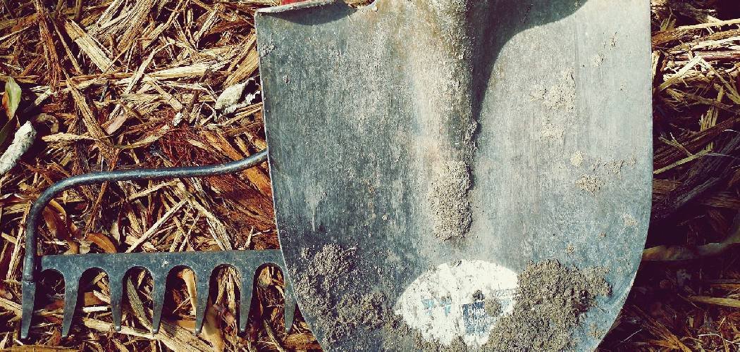 How to Keep Garden Tools from Rusting