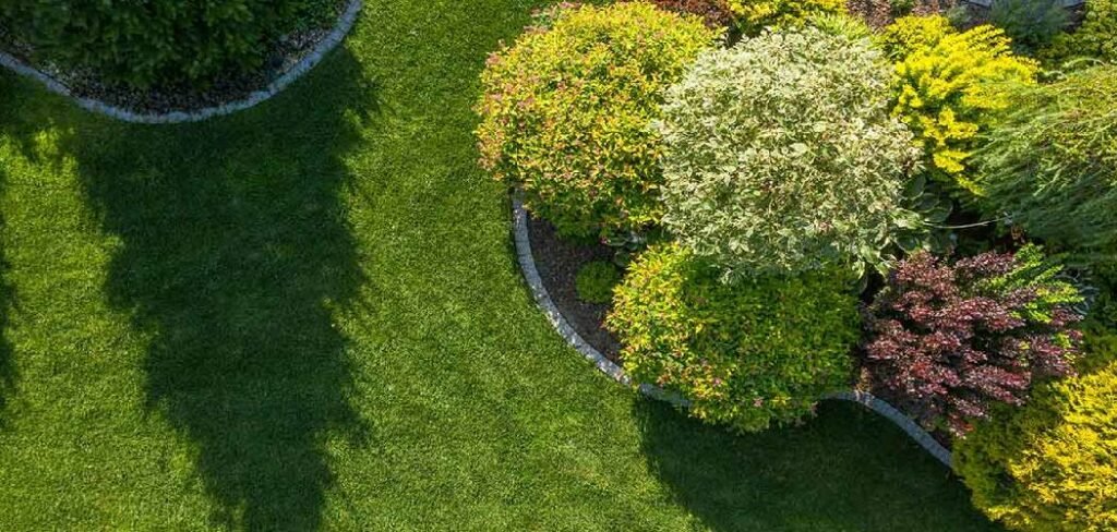 How to Layer Plants in Landscaping