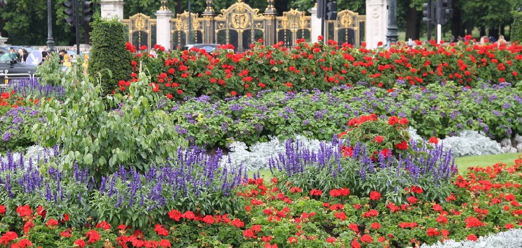 How to Make Garden Flowers