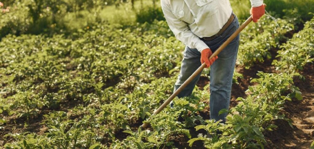 How to Make Garden Rows with a Hoe