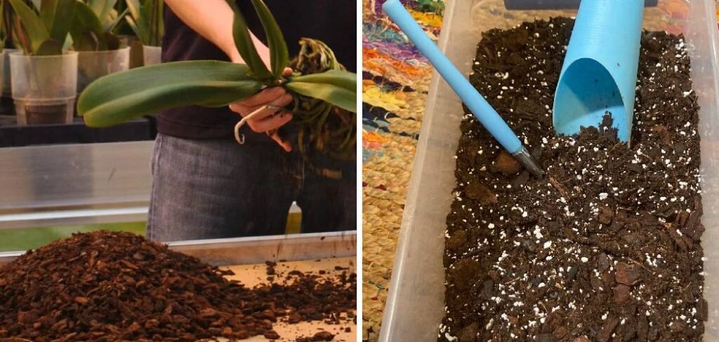 How to Make Orchid Soil