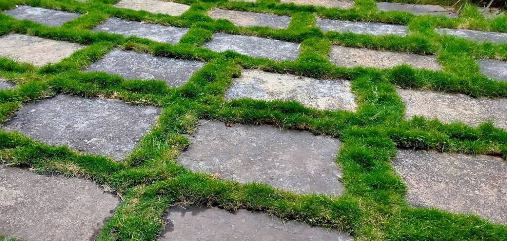 How to Plant Grass in Rocky Soil