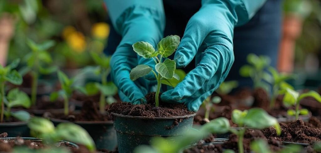 How to Prepare Soil for Dahlias