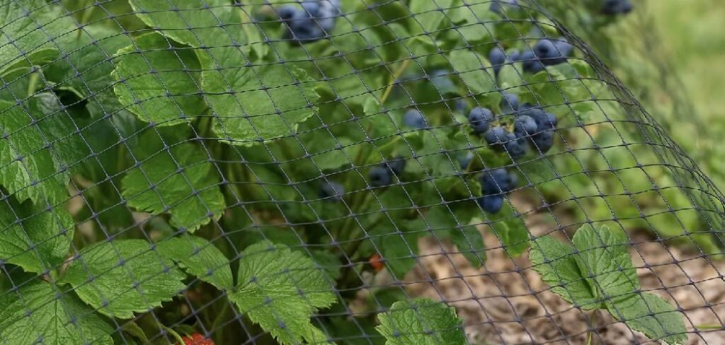 How to Remove Plastic Lawn Netting
