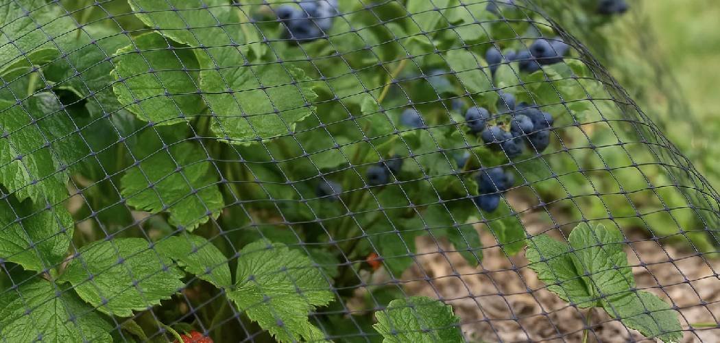 How to Remove Plastic Lawn Netting