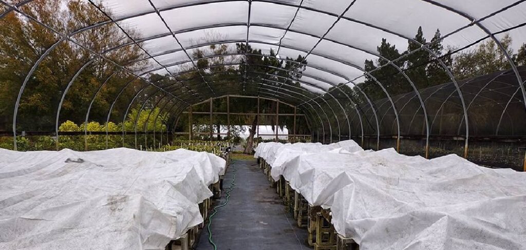 How Do You Insulate a Greenhouse for Winter