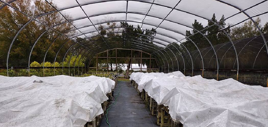 How Do You Insulate a Greenhouse for Winter