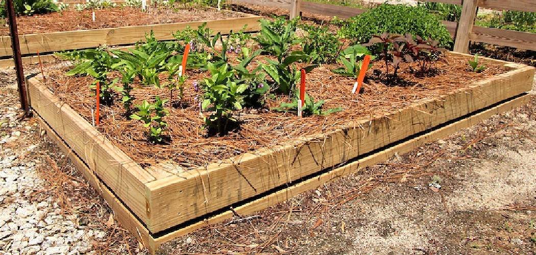 How to Seal Wood for Raised Garden Beds
