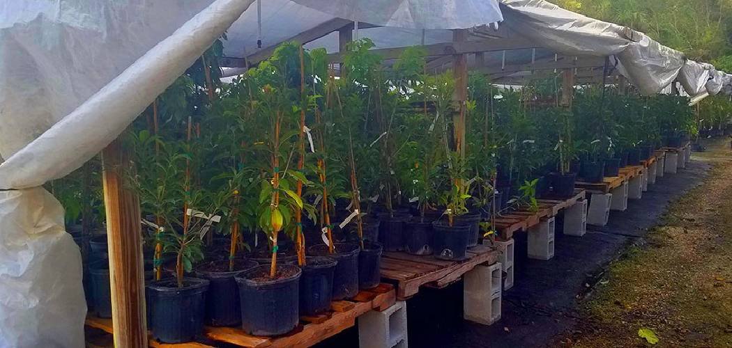 How to Secure Greenhouse to Ground