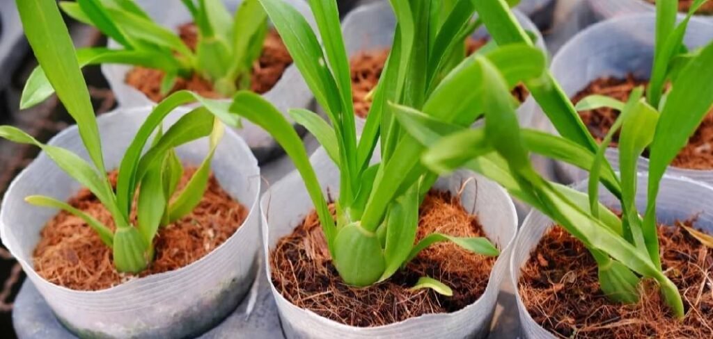 How to Store Used Potting Soil Over Winter
