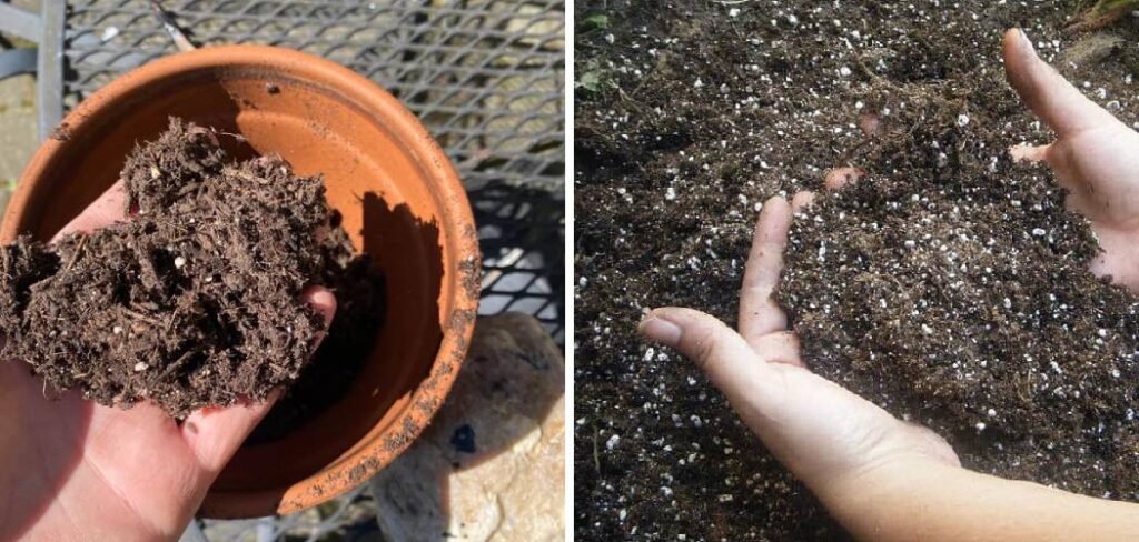 How to Tell if Potting Soil Is Bad