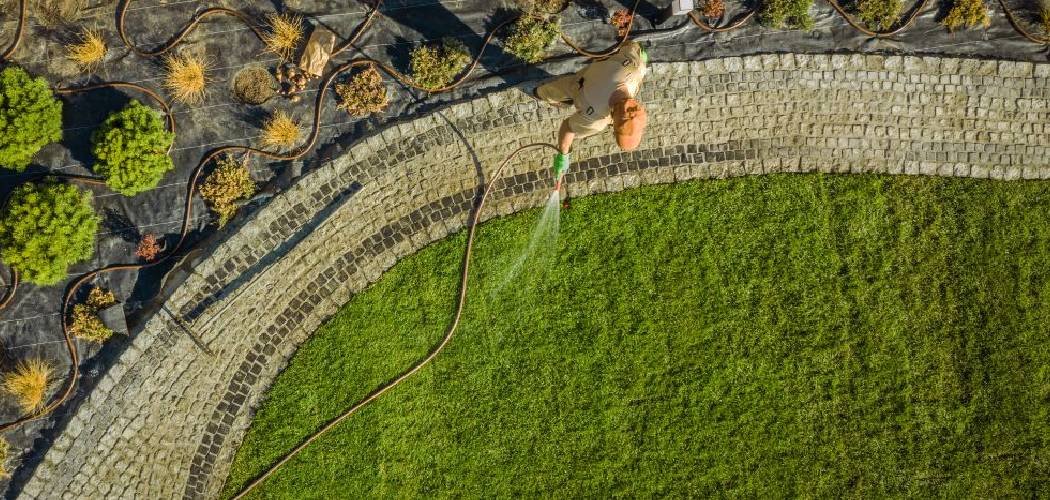 How to Transform Your Lawn