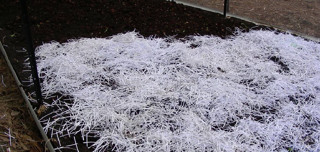 How to Use Shredded Paper in the Garden