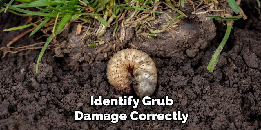 Identify Grub Damage Correctly
