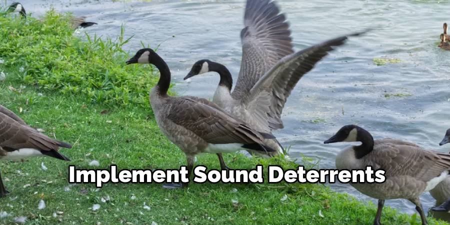Implement Sound Deterrents