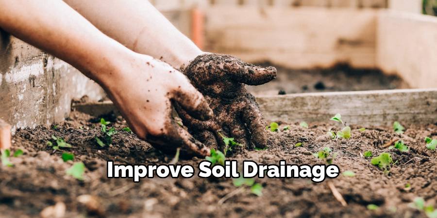  Improve Soil Drainage