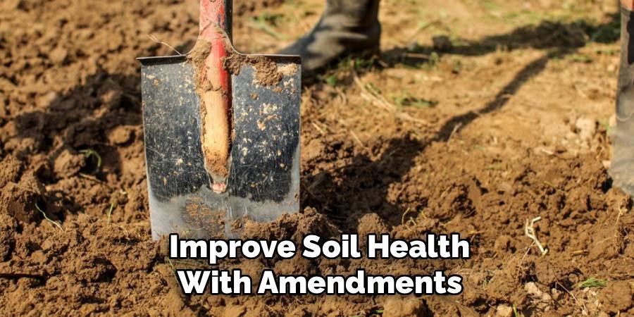 Improve Soil Health with Amendments