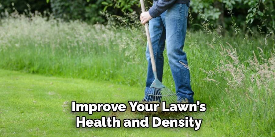Improve Your Lawn’s Health and Density