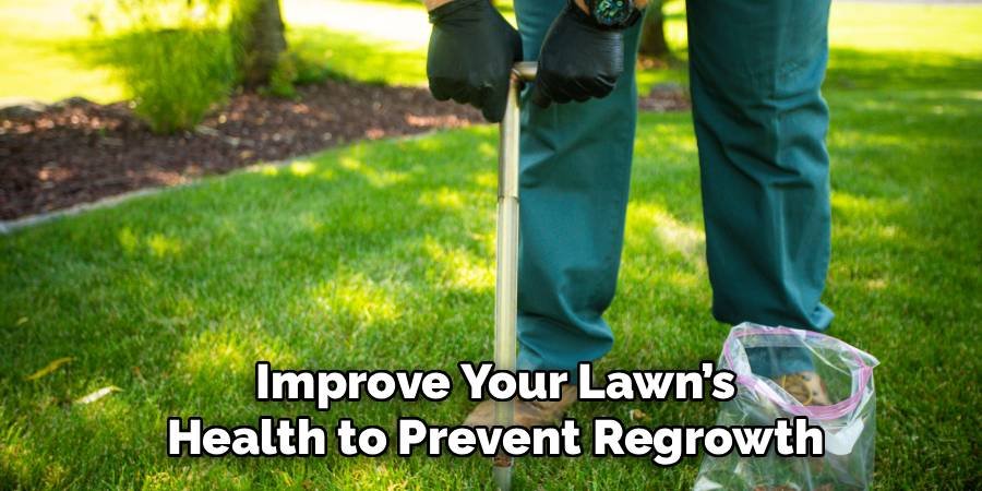 Improve Your Lawn’s Health to Prevent Regrowth