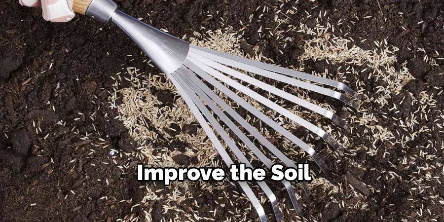 Improve the Soil
