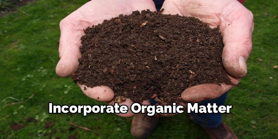 Incorporate Organic Matter