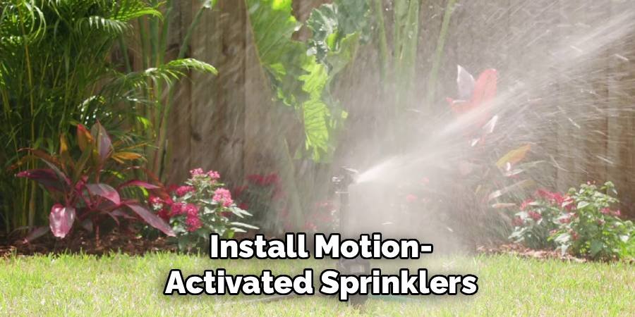 Install Motion-Activated Sprinklers