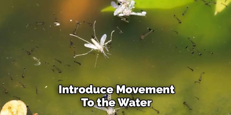 Introduce Movement to the Water