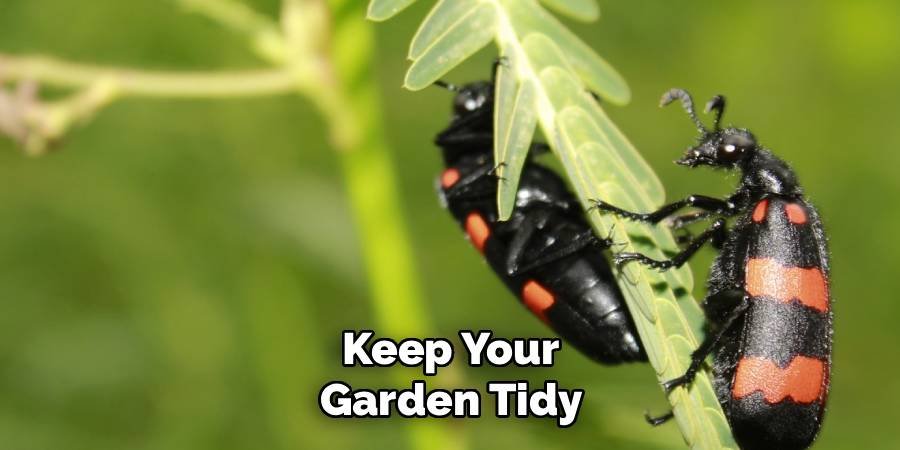 Keep Your Garden Tidy
