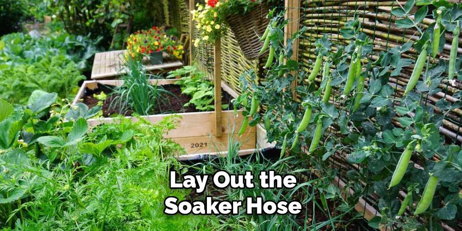 Lay Out the Soaker Hose