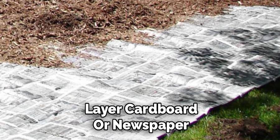 Layer Cardboard or Newspaper