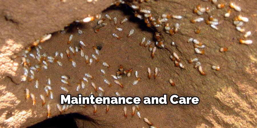 Maintenance and Care