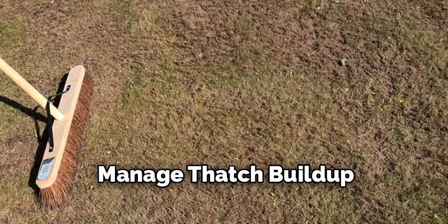 Manage Thatch Buildup