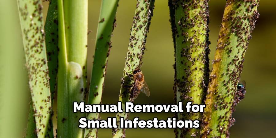 Manual Removal for Small Infestations