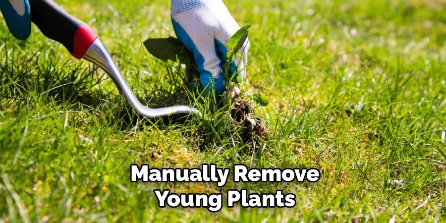 Manually Remove Young Plants