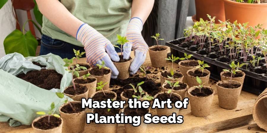 Master the Art of Planting Seeds