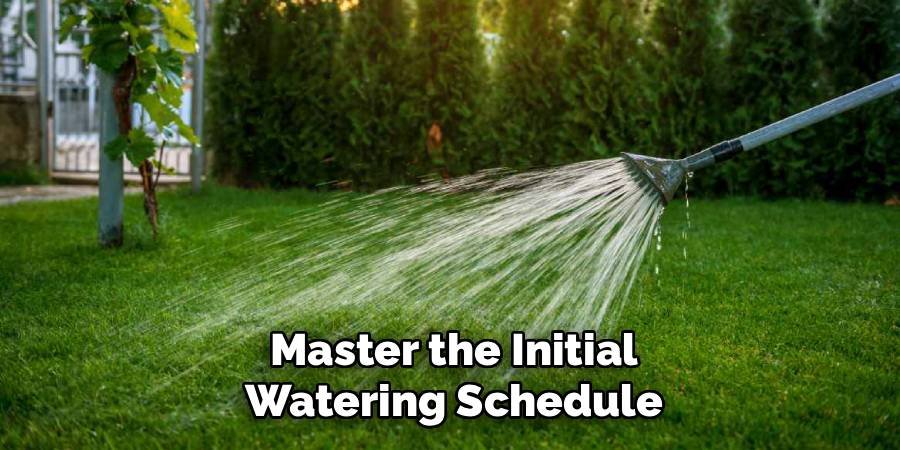 Master the Initial Watering Schedule