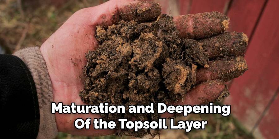 Maturation and Deepening of the Topsoil Layer