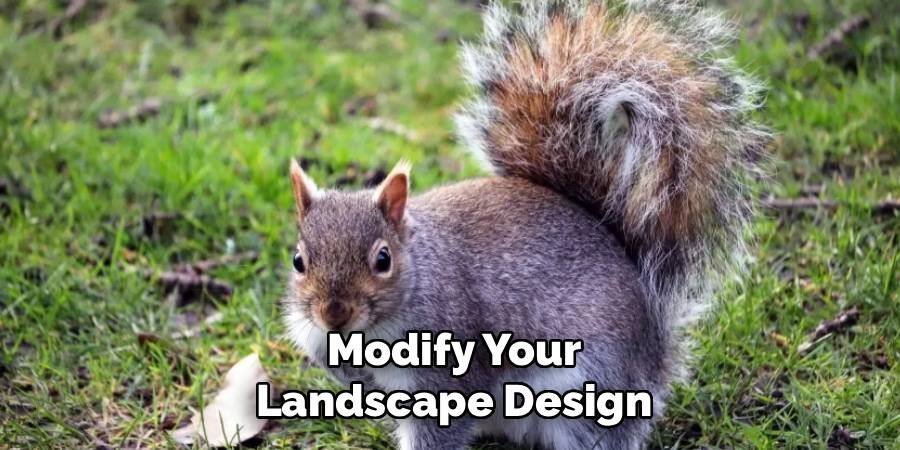 Modify Your Landscape Design