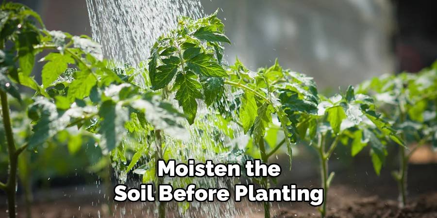 Moisten the Soil Before Planting