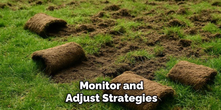 Monitor and Adjust Strategies
